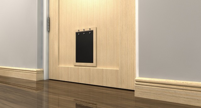 Cat Flap Installation Lower Edmonton, N9