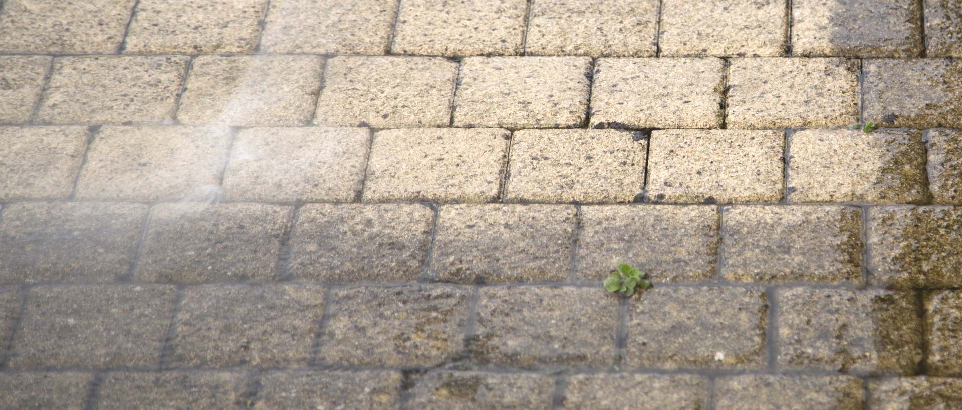 flagging and patios N9